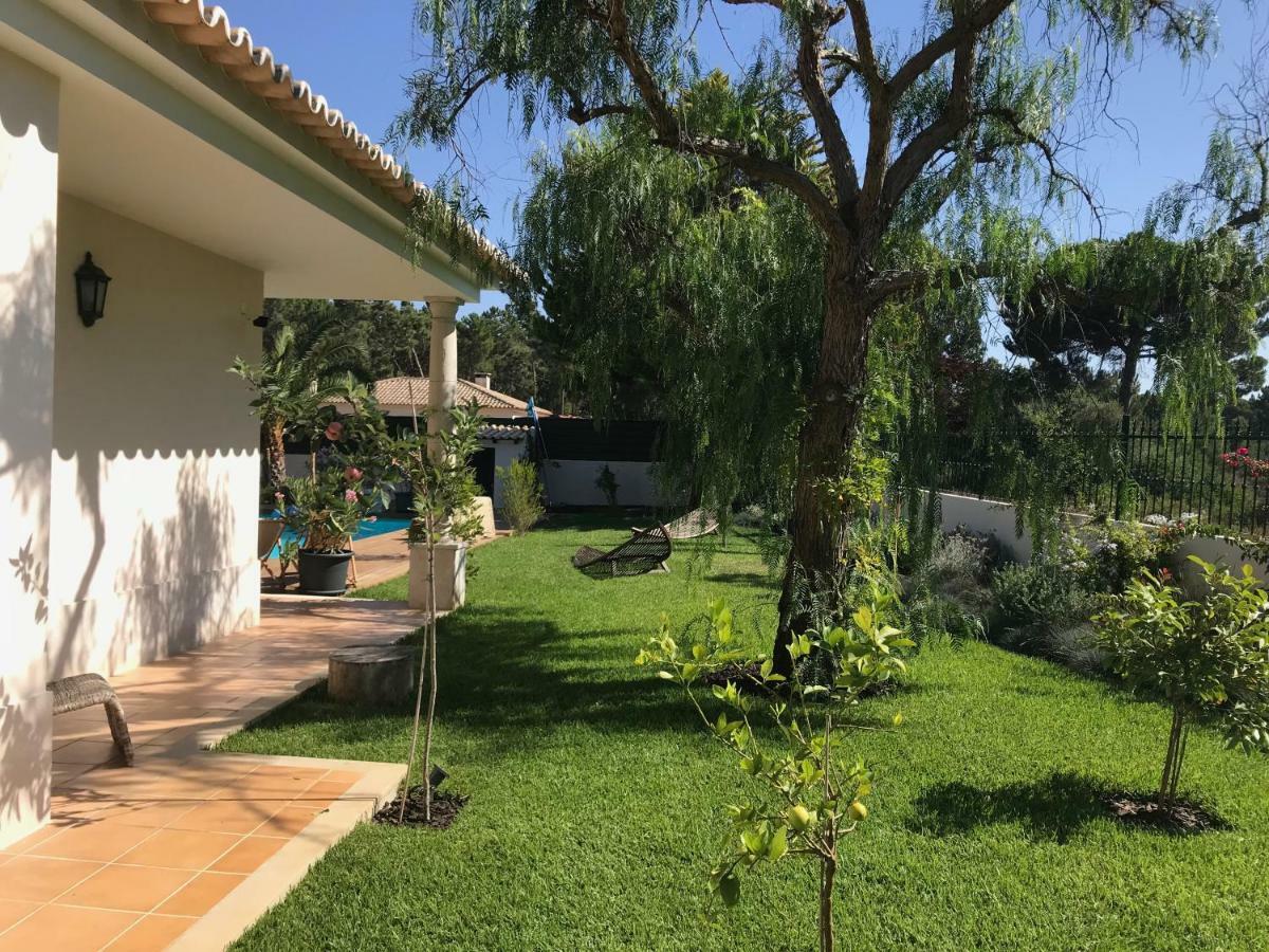 Buganvilias Do Meco Guest House Сезімбра Екстер'єр фото
